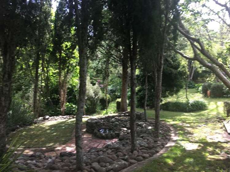 473 Kauaeranga Valley Road Thames_34