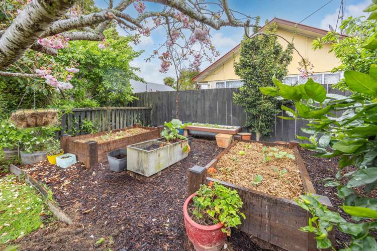 28 Enfield Street Nawton_27