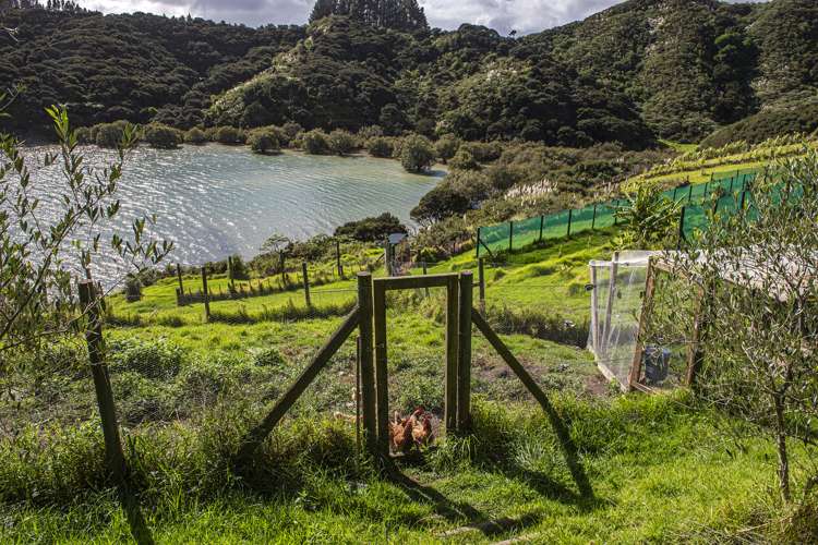 170 Waitapu Creek Road Kaeo_25