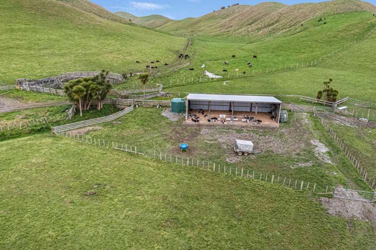 246 Hopelands Road Woodville_7