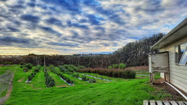 74 Okahukura Road Tapora_23