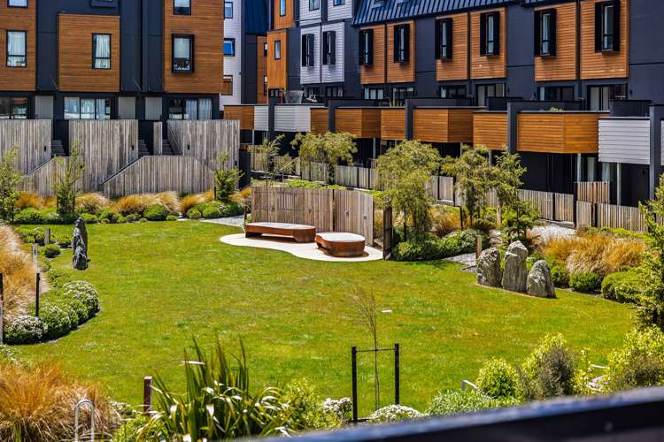 10 O'Meara Street Frankton_10