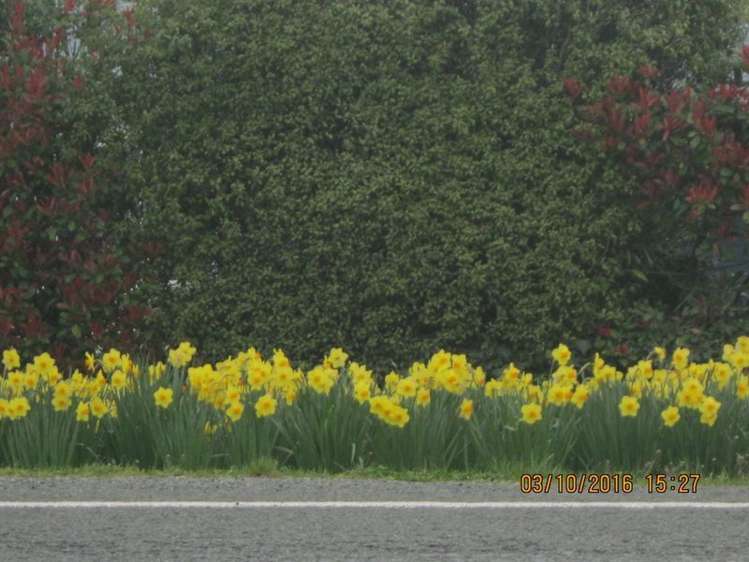 125 Main North Road Geraldine_2