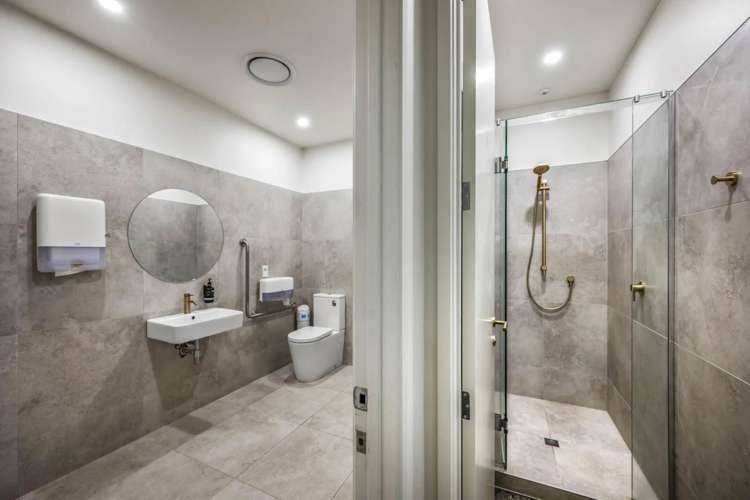 20 Augustus Terrace Parnell_9