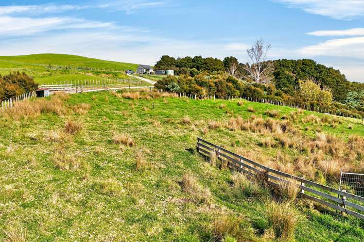 161 Ranganui Road Kaiwaka_40