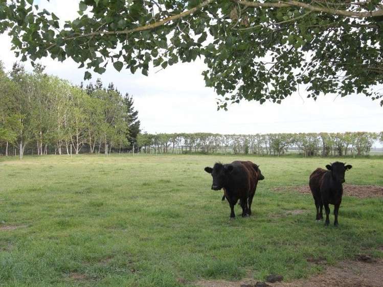 87 Wakanui School Road Wakanui_16