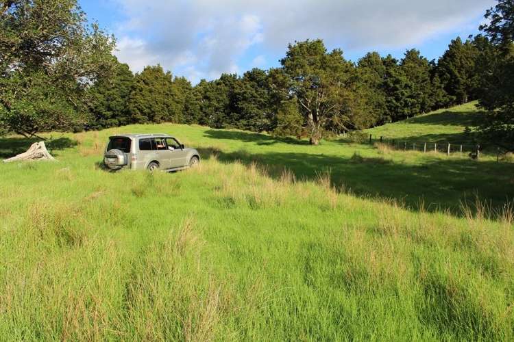 Pipiwai Road Ruatangata_6