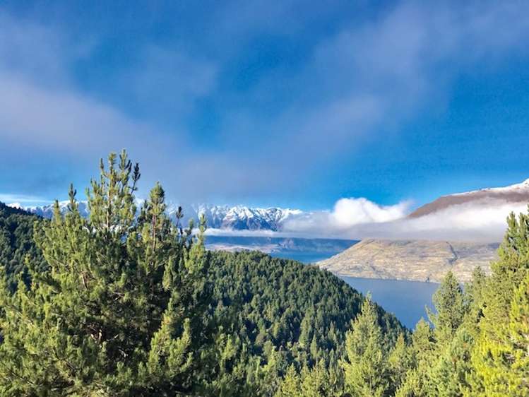 132 Alpine Retreat Road Ben Lomond_5