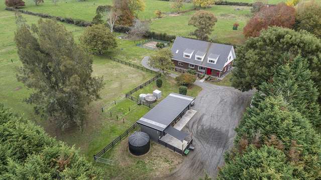 195 Hautapu Road Pukemoremore_1