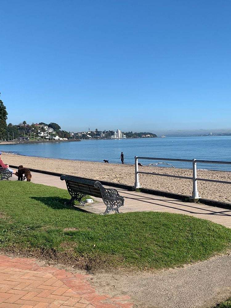 2/28 Rarangi Road Saint Heliers_18