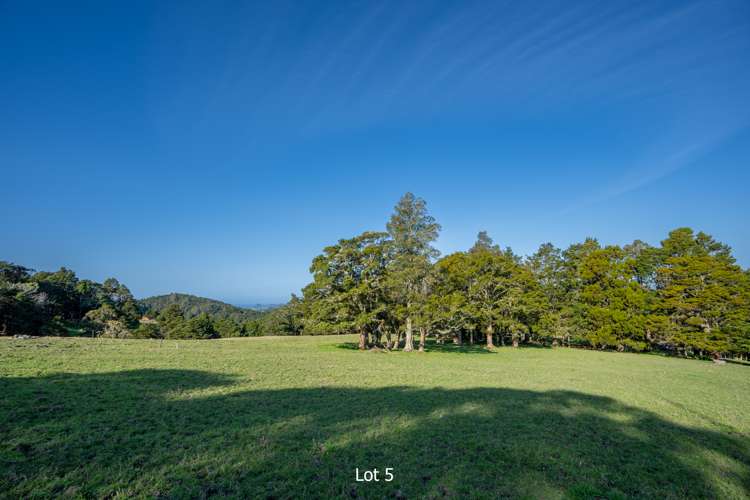 Lot 3-5 Freer Lane Parua Bay_6