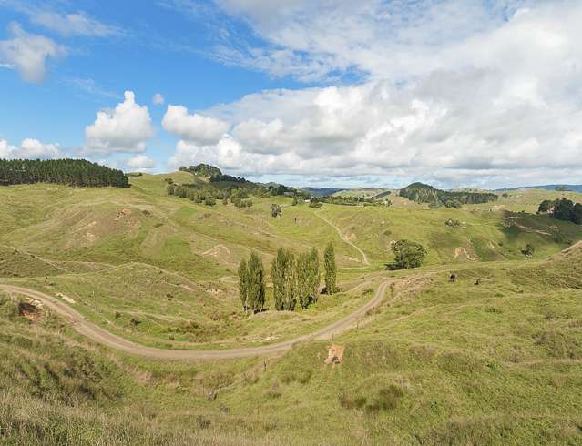 823 Wairamarama Onewhero Road Onewhero_2