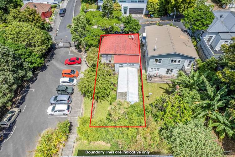 14 Waima Street Grey Lynn_16