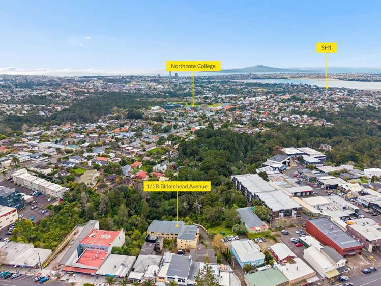 1/1B Birkenhead Avenue Birkenhead_13
