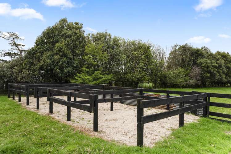 463D Wairamarama Onewhero Road Onewhero_3