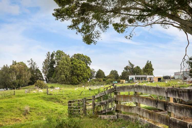 54 Thorn Road Waihi_32