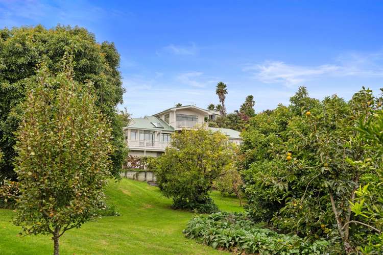 68B Boscabel Drive Ohauiti_11