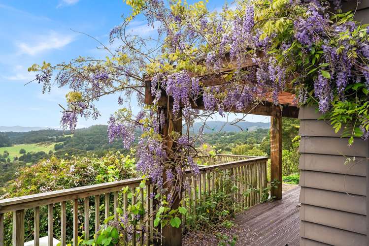 945 Springfield Road Springfield_16