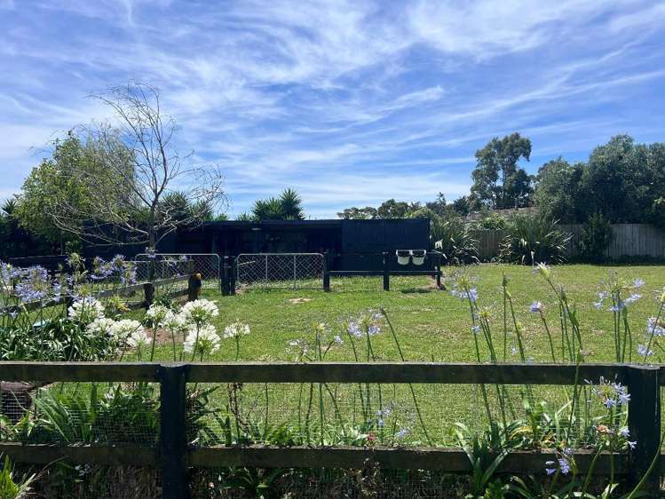 128 Mako Mako Road Levin_15