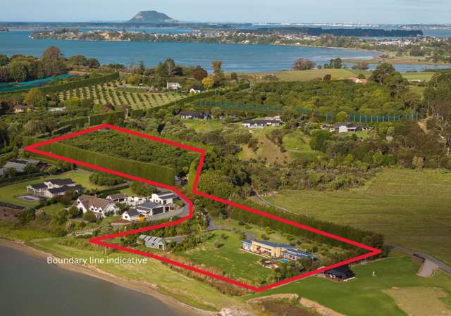 37 Pahoia Beach Road Whakamarama_3