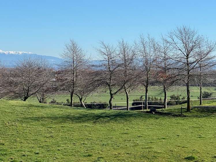 Tuki Tuki Road Haumoana_18