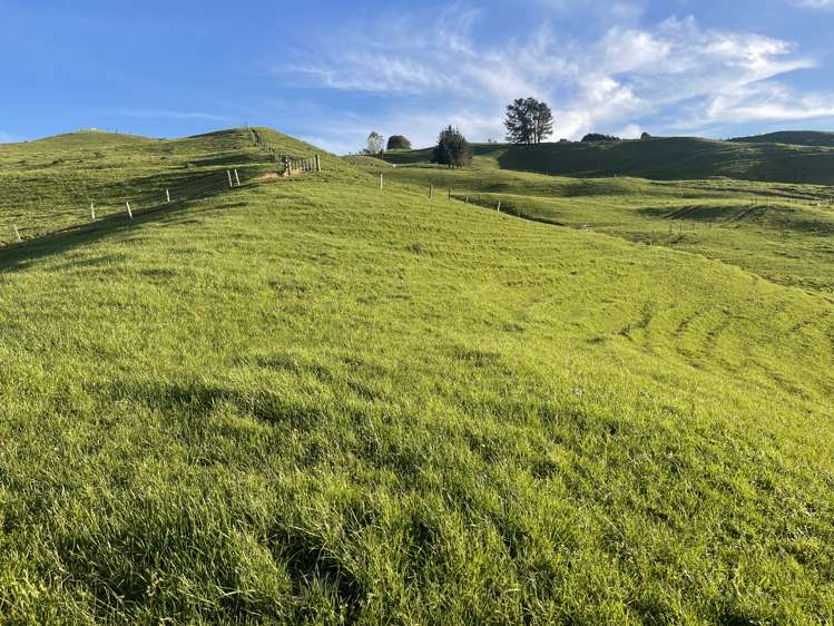 104 Tapuae Road Honikiwi_31