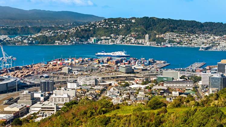 33 Wade Street Wadestown_13