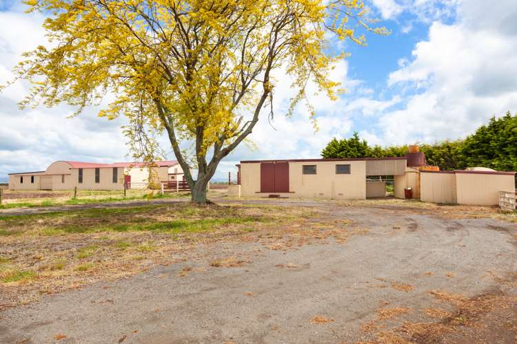 361 Waghorn Road Manawaru_16