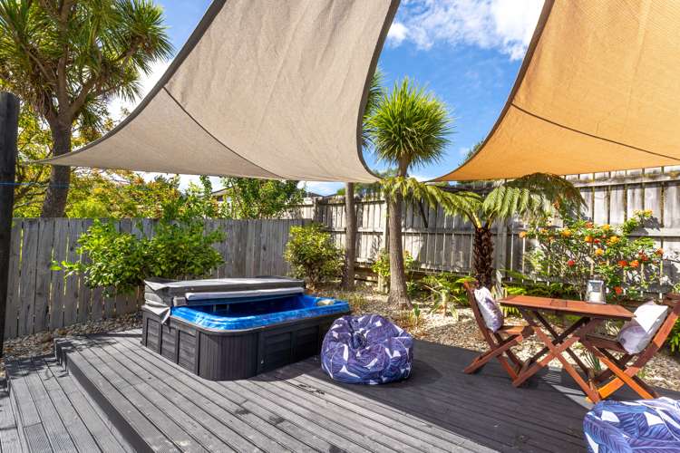 58 Scotland Street Picton_4