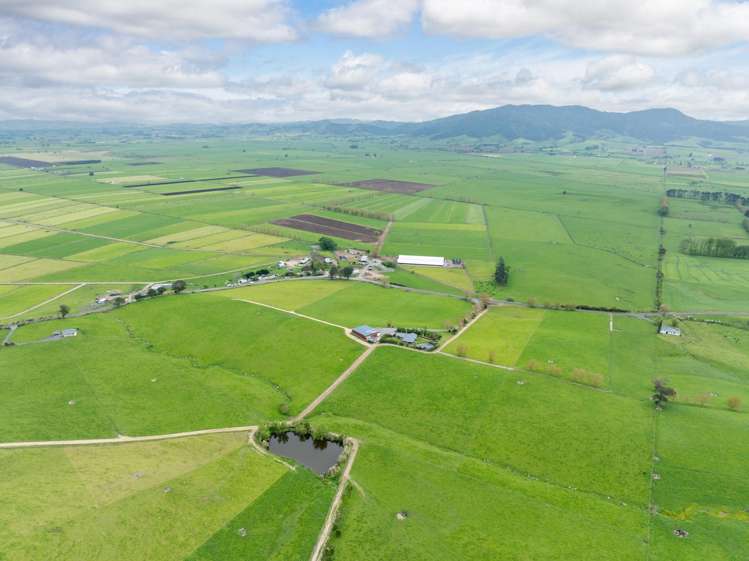 435 and 452 Tainui Road Morrinsville_30