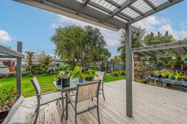 36 Southwark Avenue Tamatea_1