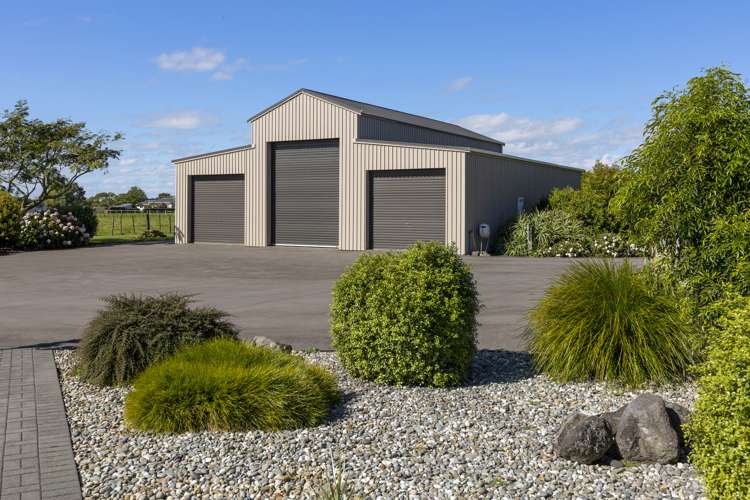 8 Pitt Road Hillsborough_3