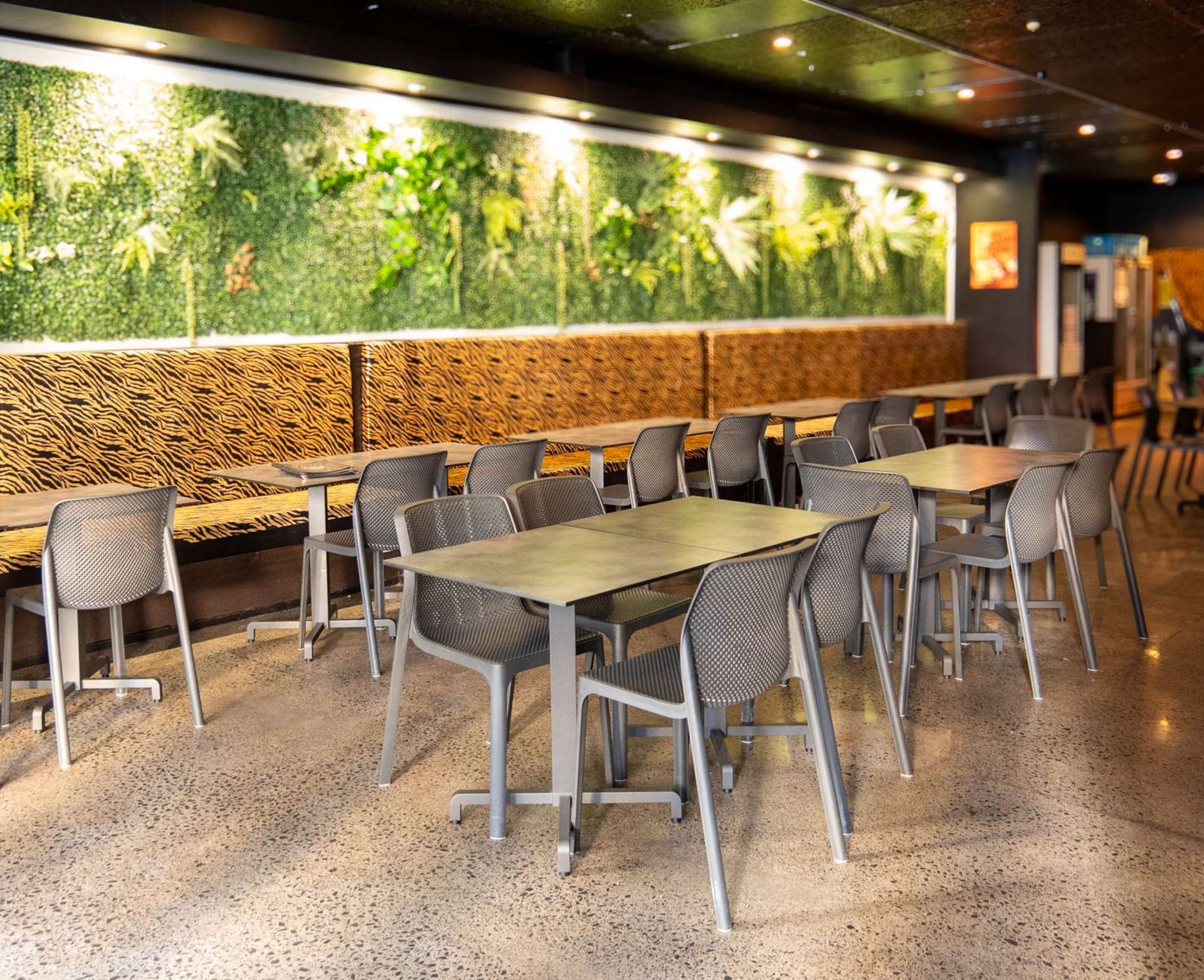 2A Kitchener Street City Centre_0