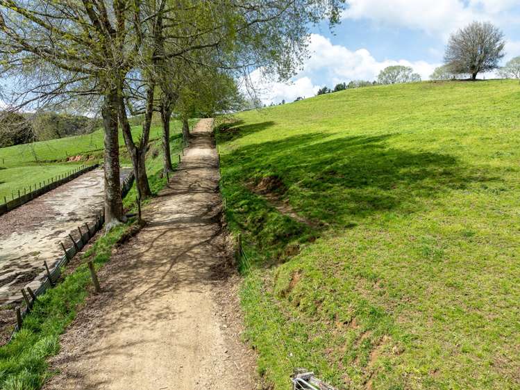 Lot 3/517 State Highway 1 Tirau_11