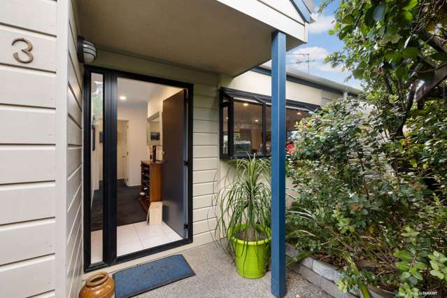 3/9 Kenneth Small Place Remuera_1