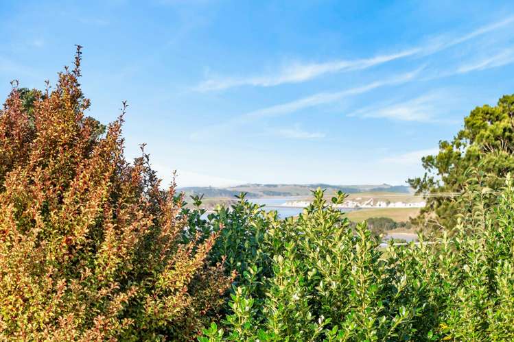 343 Neems Road Tinopai_16