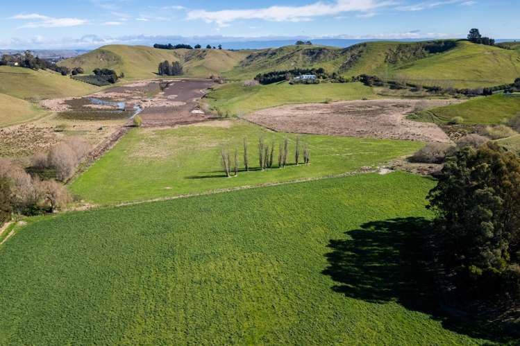201 Breckenridge Road Puketapu_8