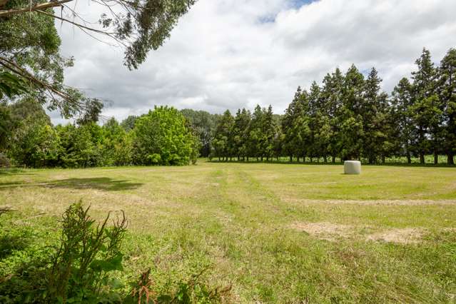 196a Collie Road Te Kowhai_2