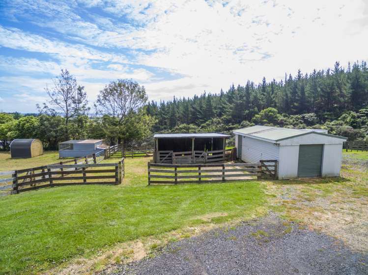 44 Jordan Road Kaukapakapa_15