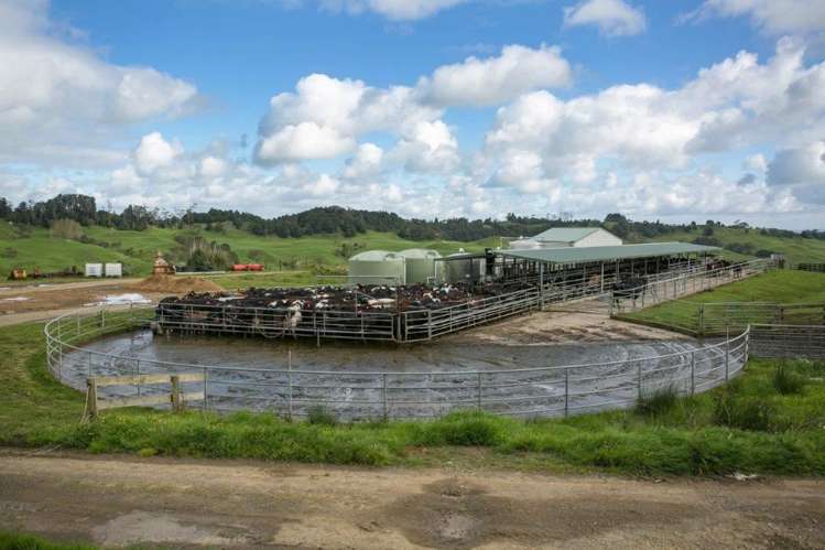 272 Broughton Road Ruawaro_7