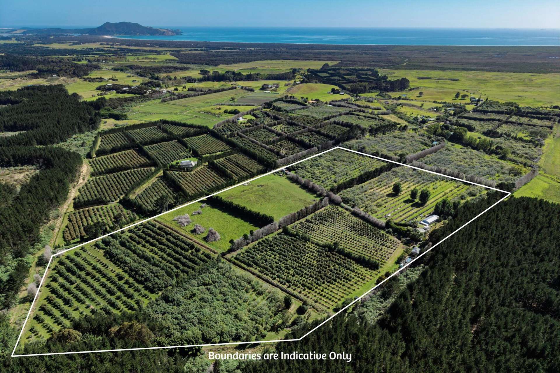 101 Turk Valley Road Waiharara_0
