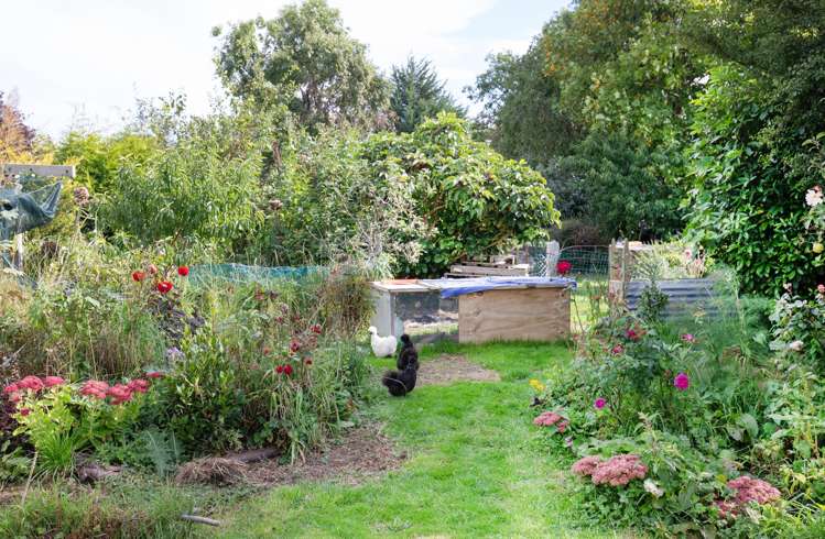 45 Maitland Street Strathern_16