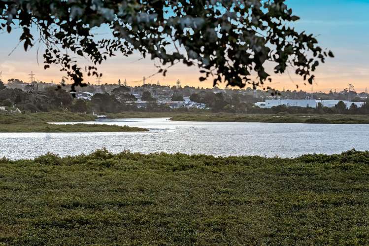 8 Sceptre Place Avondale_6