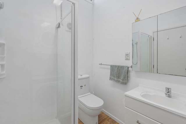 3 Dolbear Street Titirangi_4