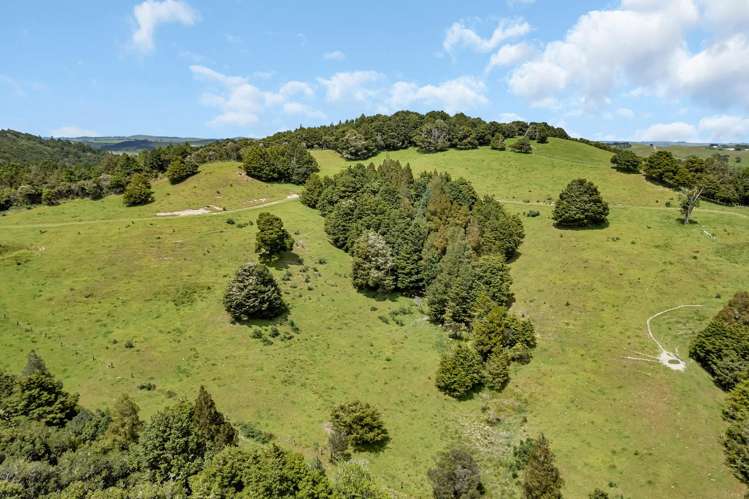 123 Homackey Road Matakohe_20