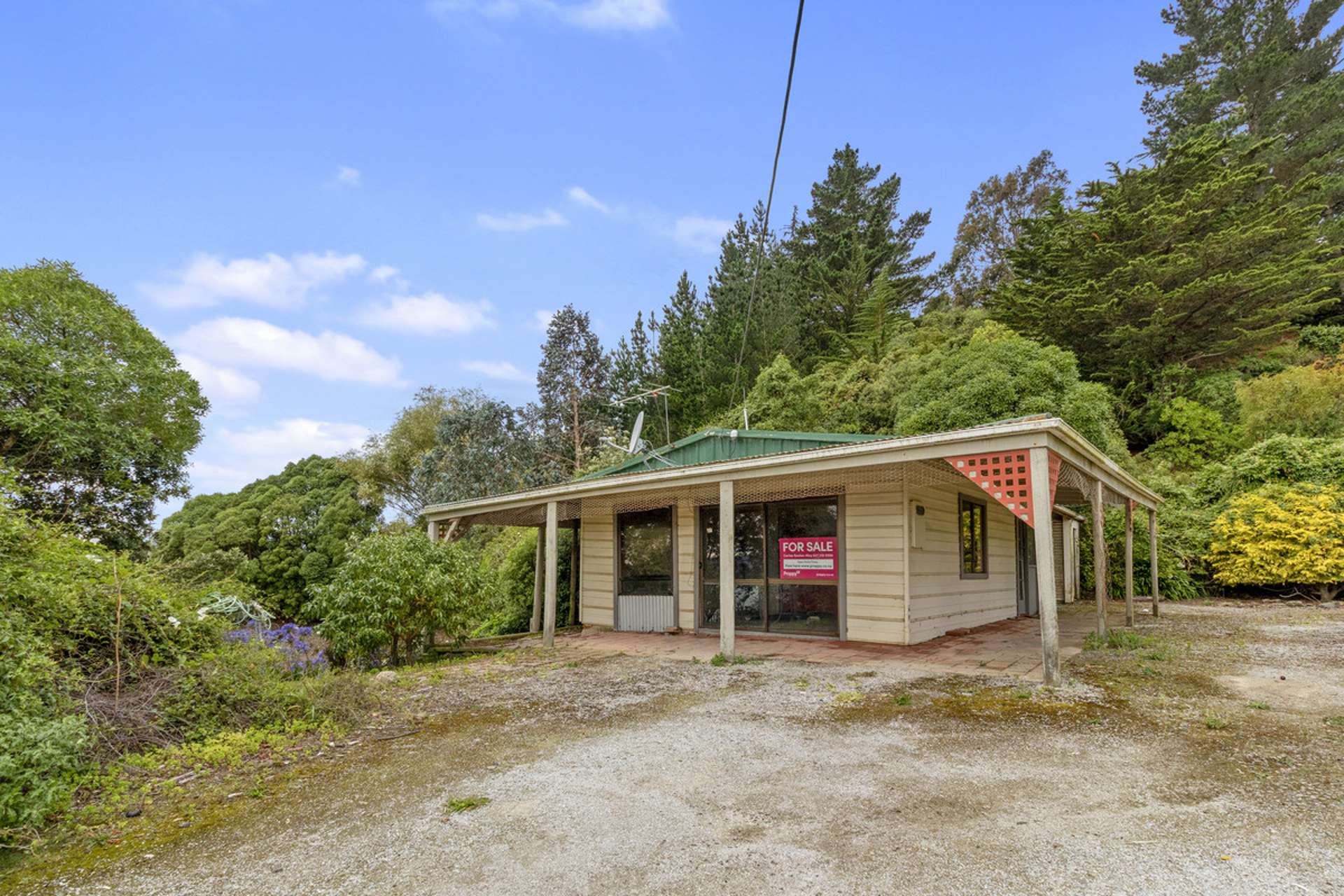 82 Haven Street Moeraki_0