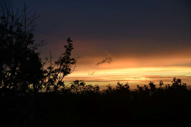 103 Currie Street Thames_18