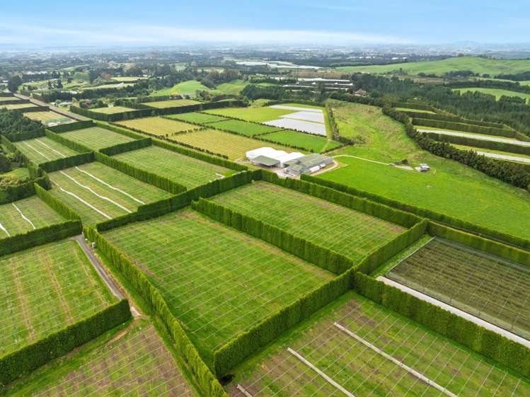 Lot 3/1010 Te Matai Road Te Ranga_11