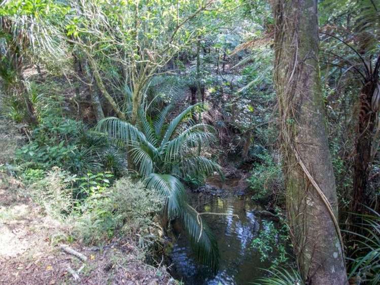 884 Kaiikanui Road Hukerenui and Surrounds_20