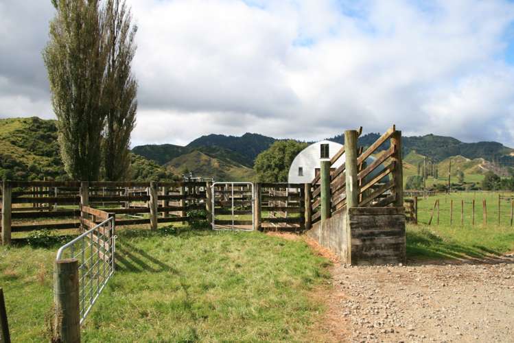 1110 Mangaehu Road Pohokura and Surrounds_8